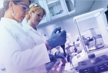 Etapele administrării conform protocolului